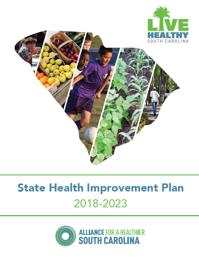 State Health Improvement Plan